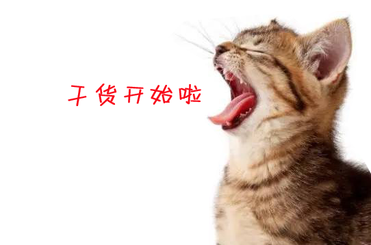 干貨來了
